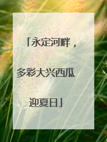 永定河畔，多彩大兴西瓜迎夏日
