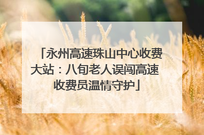 永州高速珠山中心收费大站：八旬老人误闯高速 收费员温情守护