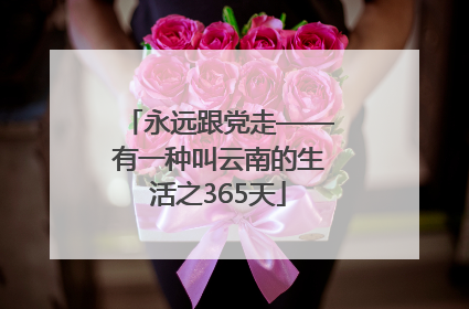 永远跟党走——有一种叫云南的生活之365天