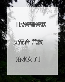 民警辅警默契配合 营救落水女子