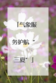 气象服务护航“三夏”