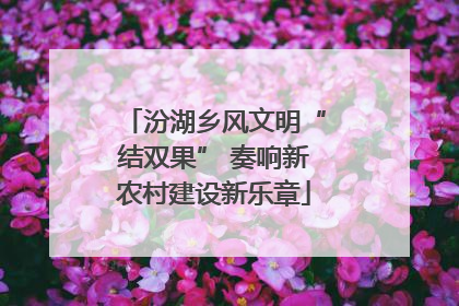 汾湖乡风文明“结双果” 奏响新农村建设新乐章