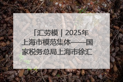 汇劳模｜2025年上海市模范集体——国家税务总局上海市徐汇区税务局第一税务所
