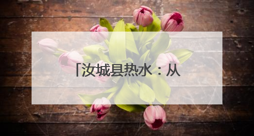 汝城县热水：从“走找想促”解“民生忧愁”
