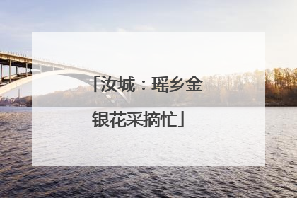 汝城：瑶乡金银花采摘忙