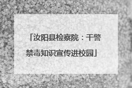 汝阳县检察院：干警禁毒知识宣传进校园