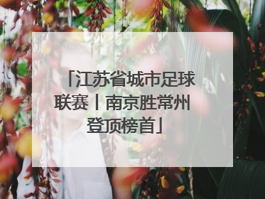 江苏省城市足球联赛丨南京胜常州 登顶榜首