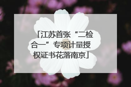 江苏首张“二检合一”专项计量授权证书花落南京