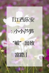 江西乐安：小小芦笋“破”出致富路