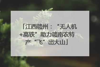 江西赣州：“无人机+高铁”助力赣南农特产“飞”出大山