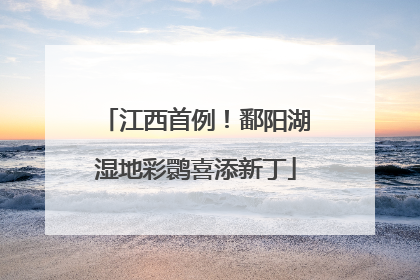 江西首例！鄱阳湖湿地彩鹮喜添新丁