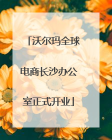 沃尔玛全球电商长沙办公室正式开业
