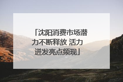 沈阳消费市场潜力不断释放 活力迸发亮点频现