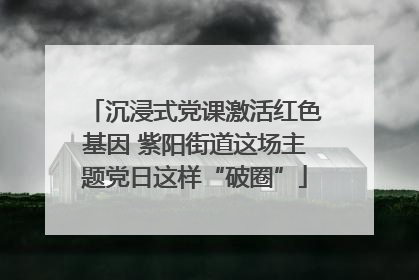 沉浸式党课激活红色基因 紫阳街道这场主题党日这样“破圈”