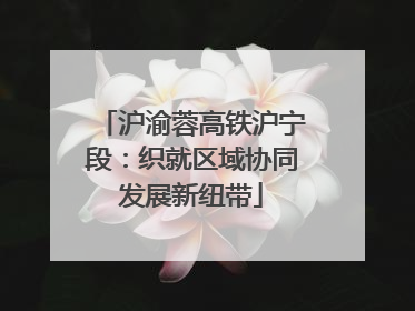 沪渝蓉高铁沪宁段：织就区域协同发展新纽带