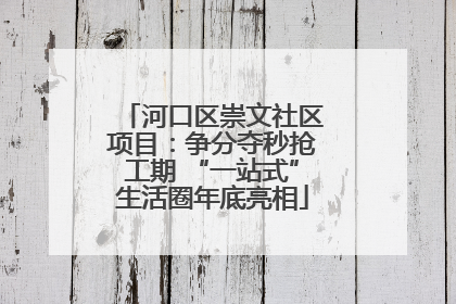 河口区崇文社区项目：争分夺秒抢工期 “一站式”生活圈年底亮相