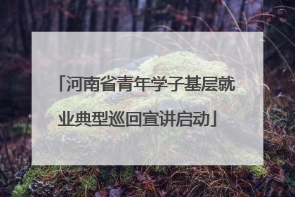 河南省青年学子基层就业典型巡回宣讲启动