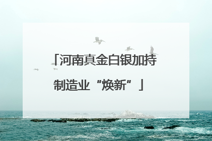 河南真金白银加持制造业“焕新”