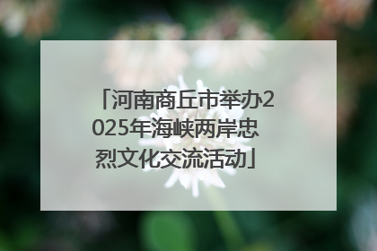 河南商丘市举办2025年海峡两岸忠烈文化交流活动