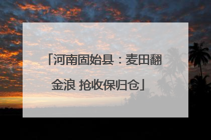 河南固始县：麦田翻金浪 抢收保归仓