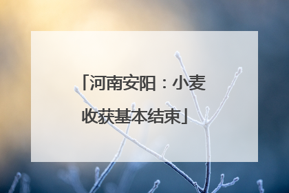 河南安阳：小麦收获基本结束