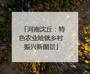 河南沈丘：特色农业绘就乡村振兴新图景