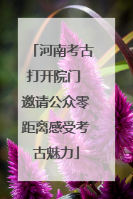 河南考古打开院门 邀请公众零距离感受考古魅力