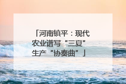 河南镇平：现代农业谱写“三夏”生产“协奏曲”