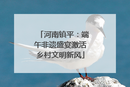 河南镇平：端午非遗盛宴激活乡村文明新风