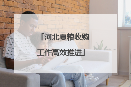 河北夏粮收购工作高效推进