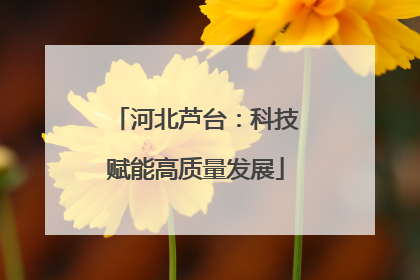 河北芦台：科技赋能高质量发展