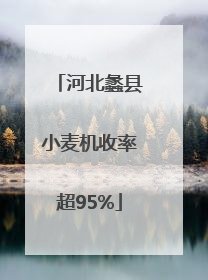 河北蠡县小麦机收率超95%