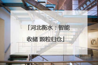 河北衡水：智能收储 颗粒归仓