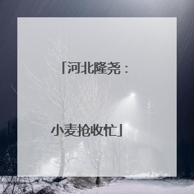 河北隆尧：小麦抢收忙
