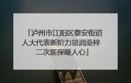 泸州市江阳区泰安街道人大代表新阶力量润桑梓 二次医保暖人心