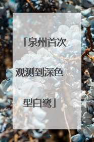 泉州首次观测到深色型白鹭