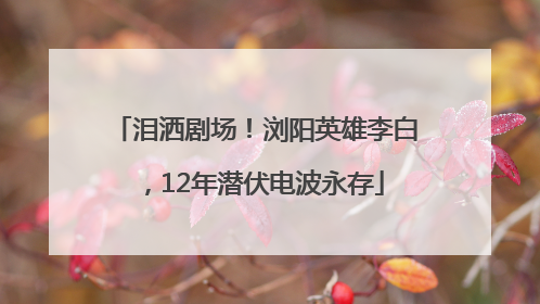 泪洒剧场！浏阳英雄李白，12年潜伏电波永存