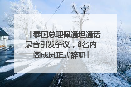 泰国总理佩通坦通话录音引发争议，8名内阁成员正式辞职