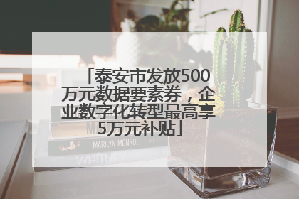 泰安市发放500万元数据要素券，企业数字化转型最高享5万元补贴