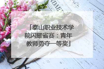 泰山职业技术学院闪耀省赛：青年教师勇夺一等奖
