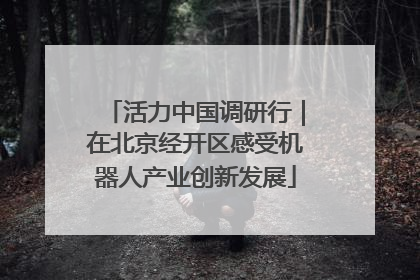 活力中国调研行｜在北京经开区感受机器人产业创新发展