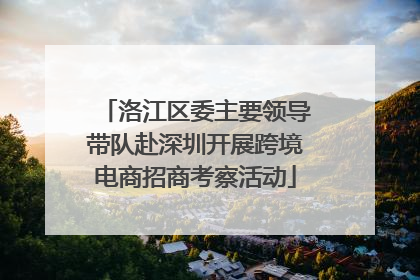 洛江区委主要领导带队赴深圳开展跨境电商招商考察活动