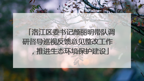 洛江区委书记颜丽明带队调研督导巡视反馈意见整改工作，推进生态环境保护建设