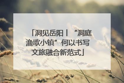 洞见岳阳丨“洞庭渔歌小镇”何以书写文旅融合新范式