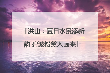 洪山：夏日水景添新韵 碧波粉黛入画来