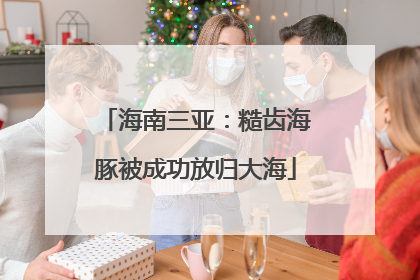 海南三亚：糙齿海豚被成功放归大海