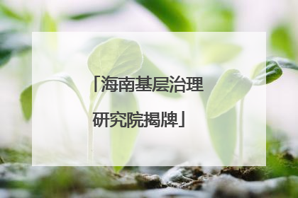 海南基层治理研究院揭牌