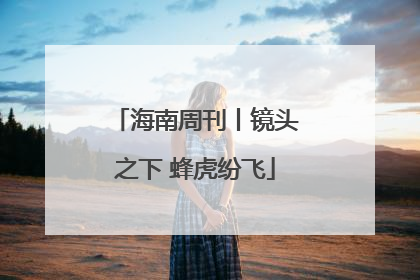 海南周刊丨镜头之下 蜂虎纷飞