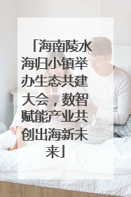 海南陵水海归小镇举办生态共建大会，数智赋能产业共创出海新未来