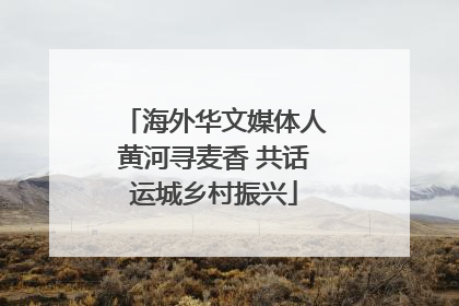 海外华文媒体人黄河寻麦香 共话运城乡村振兴